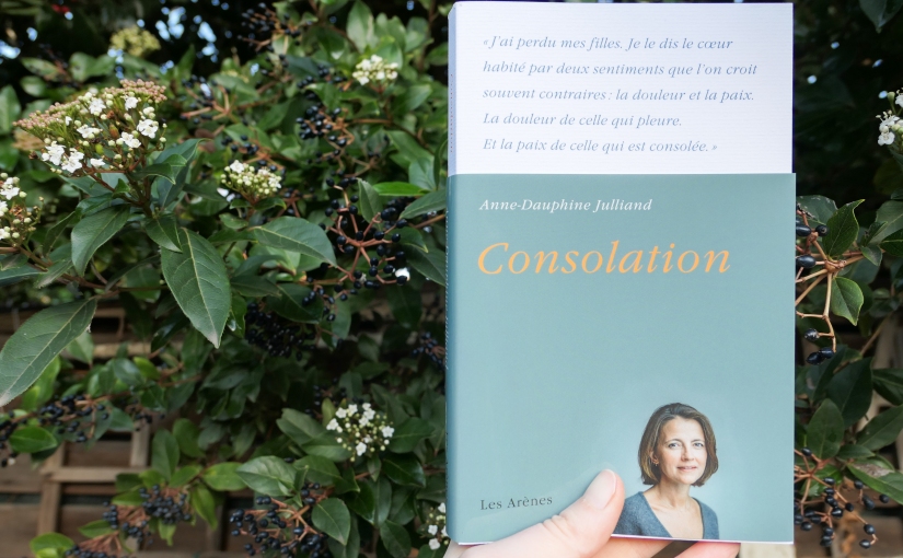 ‘Consolation’ d’Anne-Dauphine Julliand